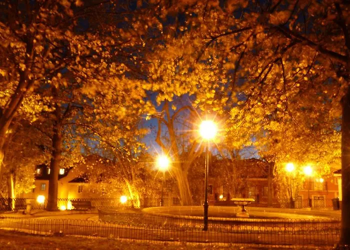 The Back Yard Nest *