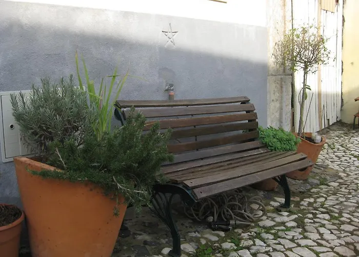 The Back Yard Nest *