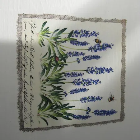 后院内丝特公寓 *