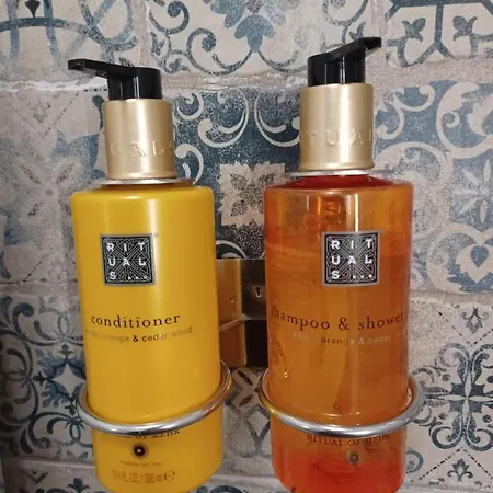 后院内丝特公寓