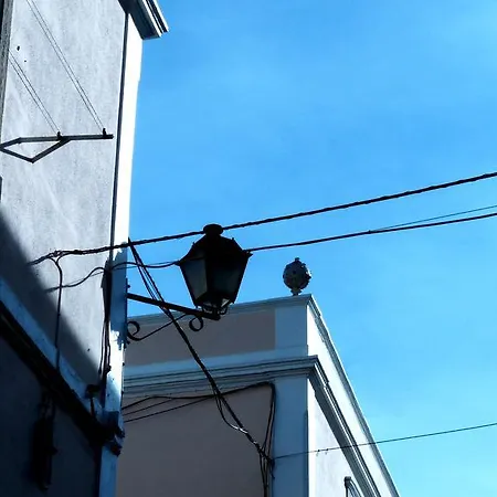 公寓 后院内丝特公寓