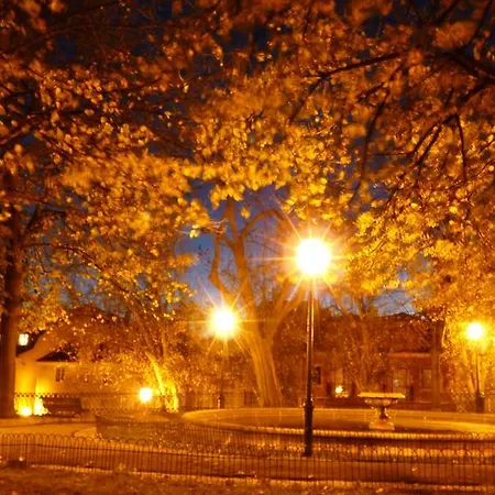 后院内丝特公寓 *