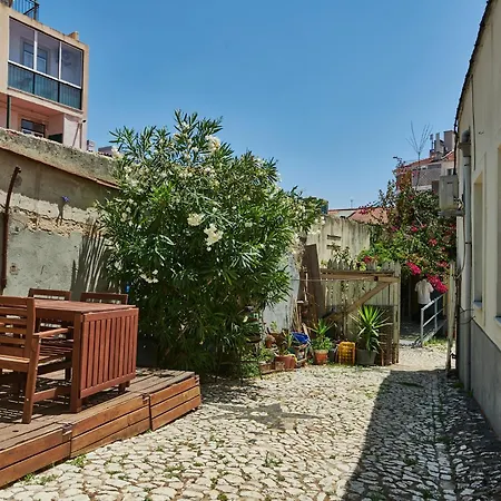 The Back Yard Nest *