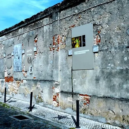 后院内丝特公寓 *