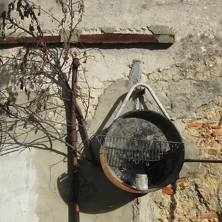 The Back Yard Nest Lissabon