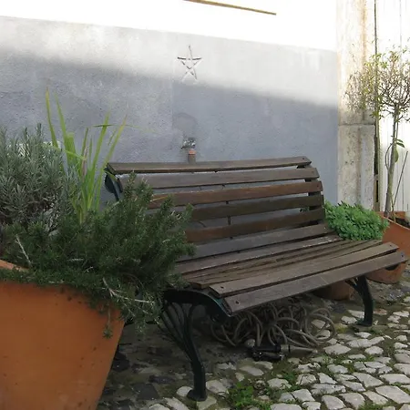 后院内丝特公寓 *