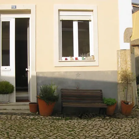 后院内丝特公寓