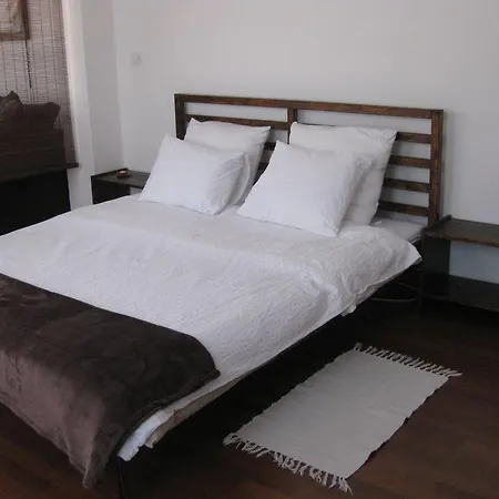 公寓 后院内丝特公寓