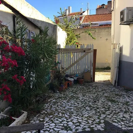 后院内丝特公寓 公寓 Lisboa