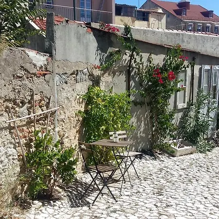 The Back Yard Nest Appartement