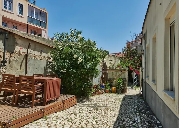 The Back Yard Nest *