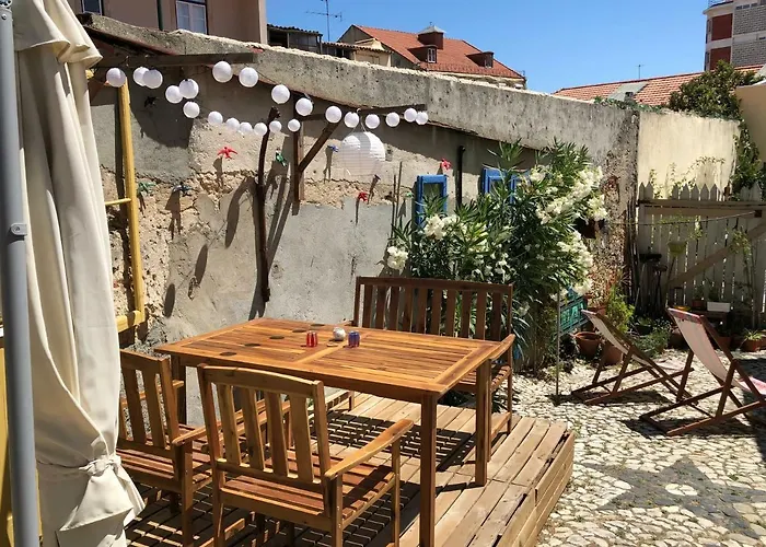 The Back Yard Nest *