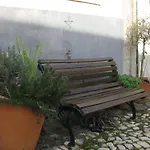 The Back Yard Nest *